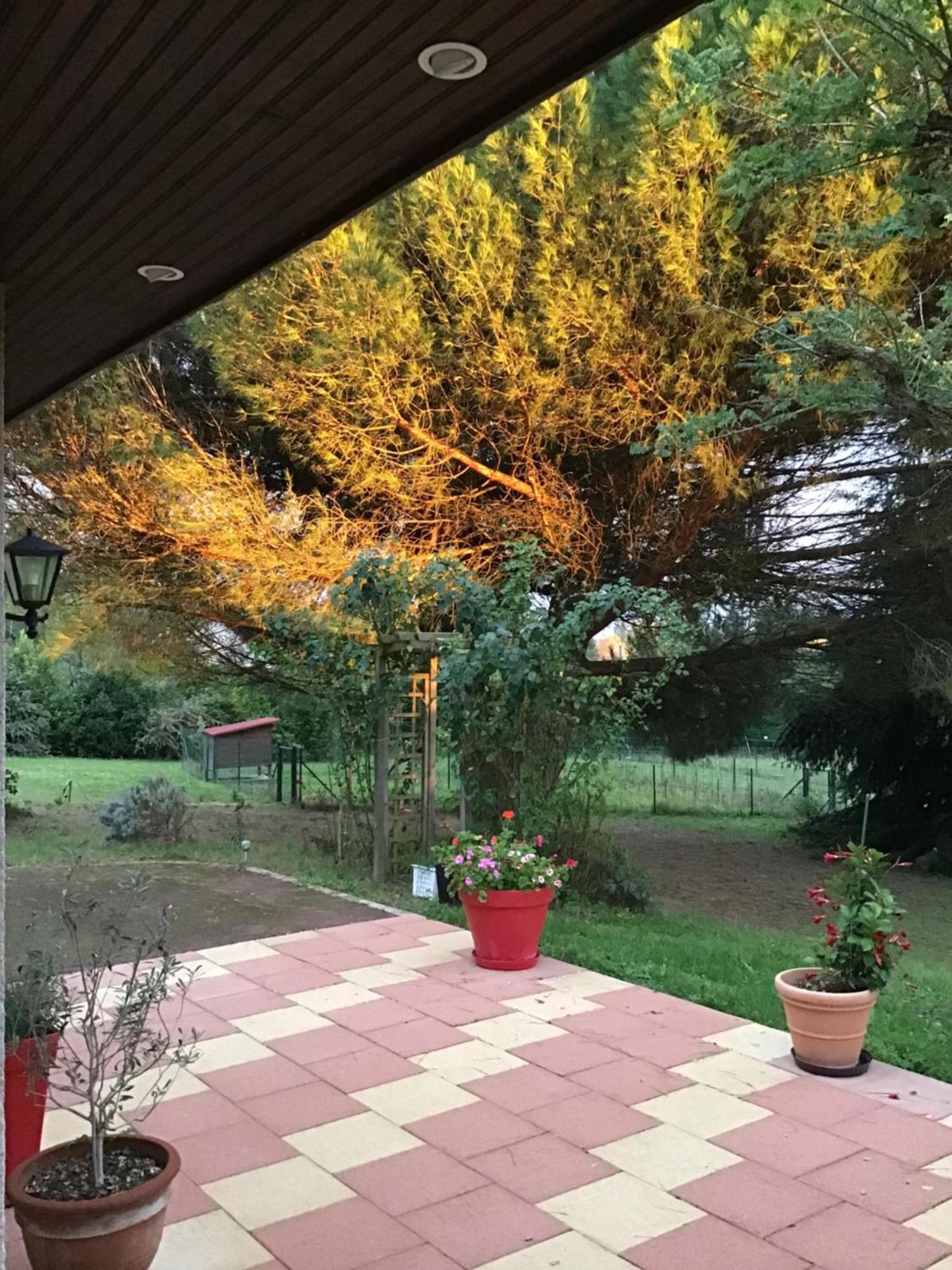 Civray-de-Touraine Des Roux Et Des Pious Suite De 35 A 60 M2 Et 3 Chambres Pour Groupe De 2 A 6 Personnes מראה חיצוני תמונה