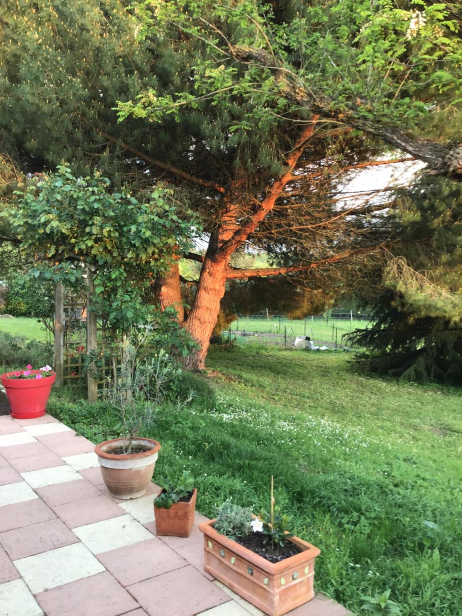 Civray-de-Touraine Des Roux Et Des Pious Suite De 35 A 60 M2 Et 3 Chambres Pour Groupe De 2 A 6 Personnes מראה חיצוני תמונה