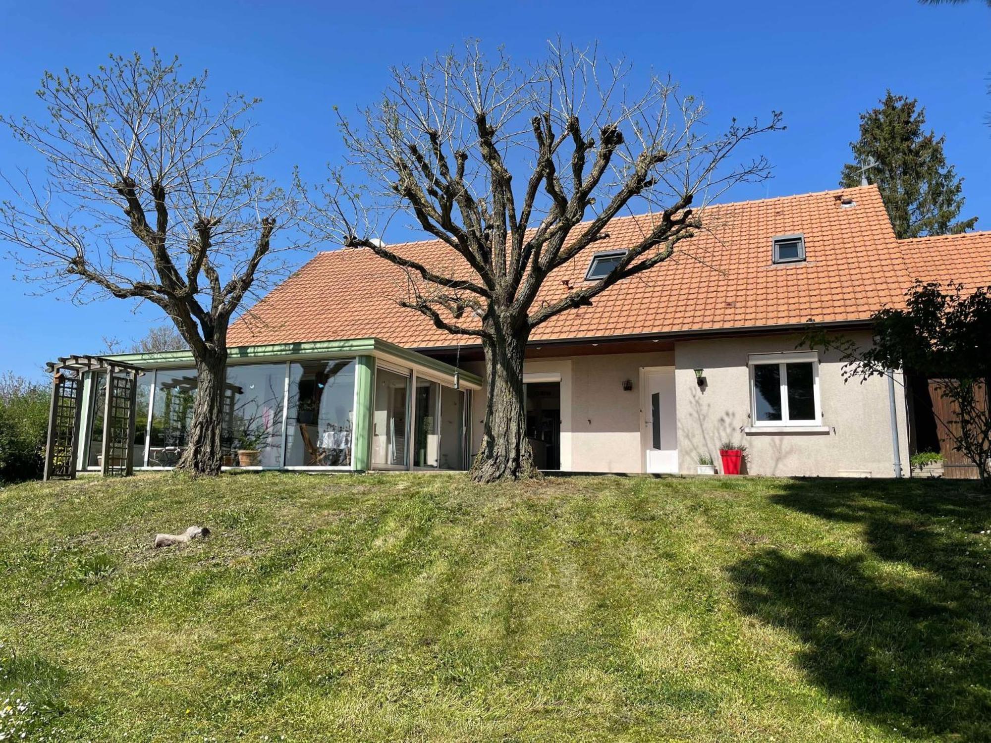 Civray-de-Touraine Des Roux Et Des Pious Suite De 35 A 60 M2 Et 3 Chambres Pour Groupe De 2 A 6 Personnes מראה חיצוני תמונה