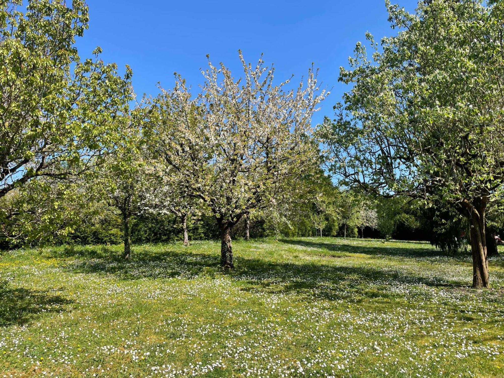 Civray-de-Touraine Des Roux Et Des Pious Suite De 35 A 60 M2 Et 3 Chambres Pour Groupe De 2 A 6 Personnes מראה חיצוני תמונה