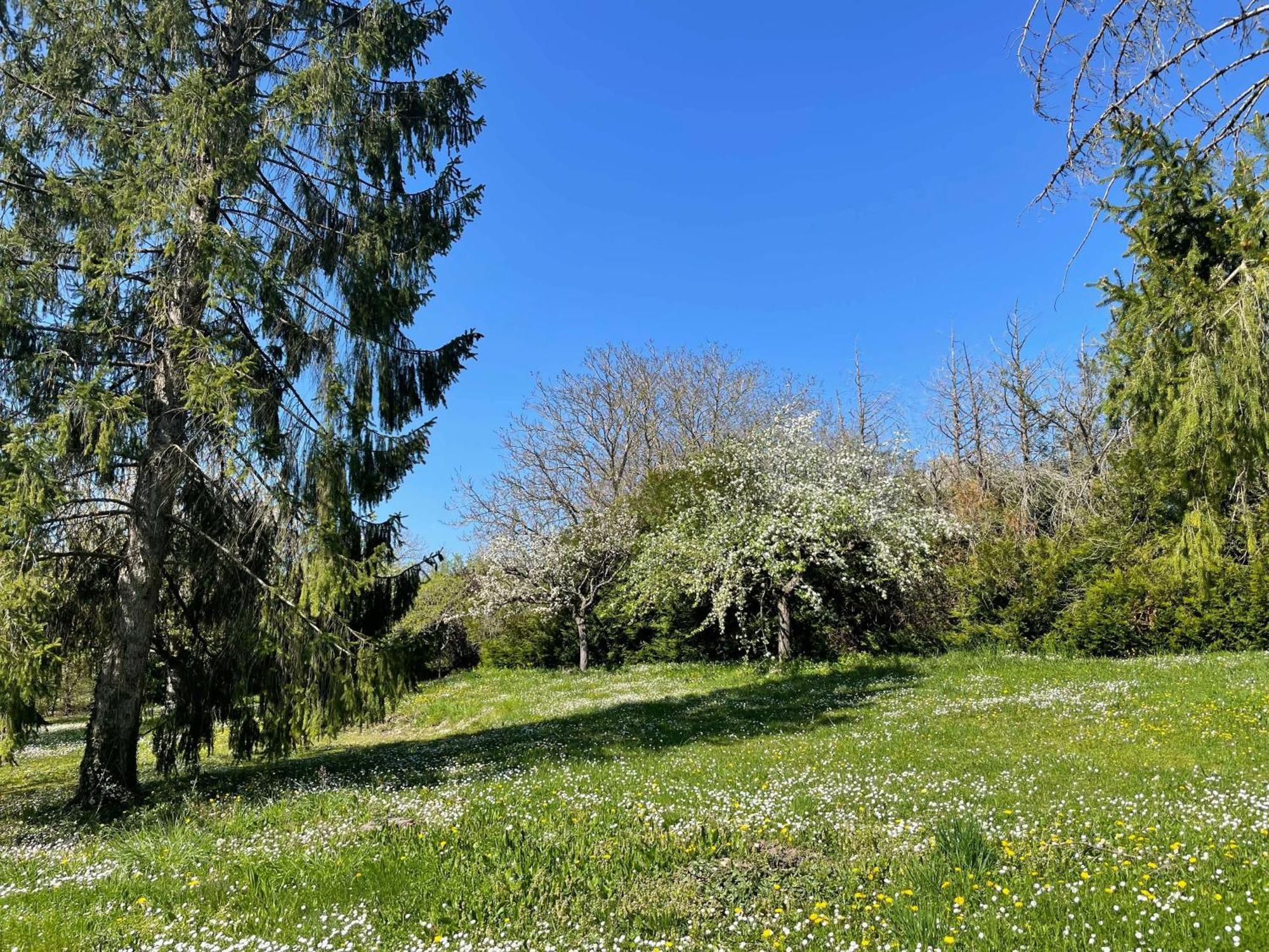 Civray-de-Touraine Des Roux Et Des Pious Suite De 35 A 60 M2 Et 3 Chambres Pour Groupe De 2 A 6 Personnes מראה חיצוני תמונה